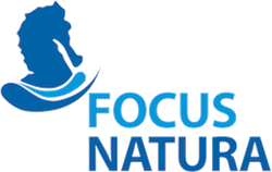 Focus Natura | Diving Center on Madeira Island